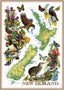 Designer Tea Towel - NZ Birds And Map