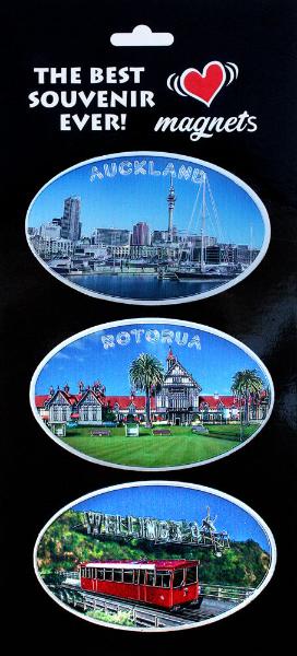 3 Pack Foil NZ North Island Magnets