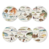 Fishes of NZ Coasters Set of 6