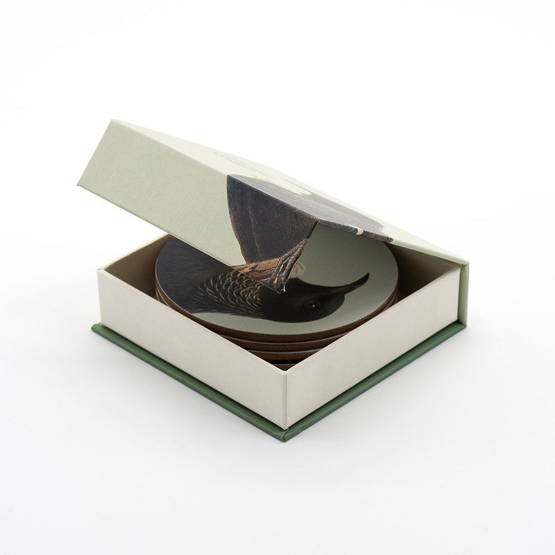 NZ Native Birds Coasters Set of 6