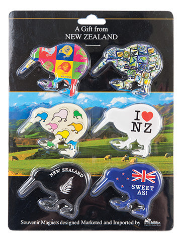 6 Pack Acrylic Kiwi Colours Magnets