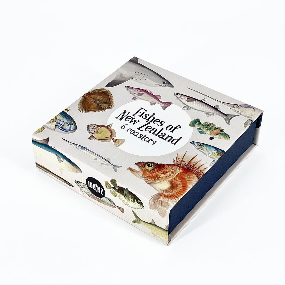 Fishes of NZ Coasters Set of 6