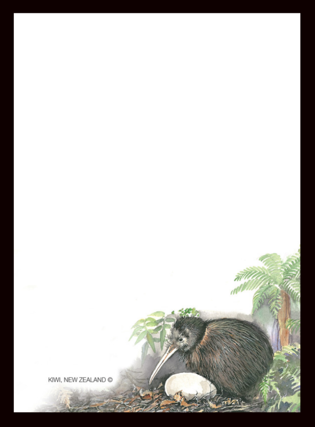 Note Pad Kiwi And Egg - #N5