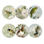 Set of six circular coasters with bird illustrations on a white background