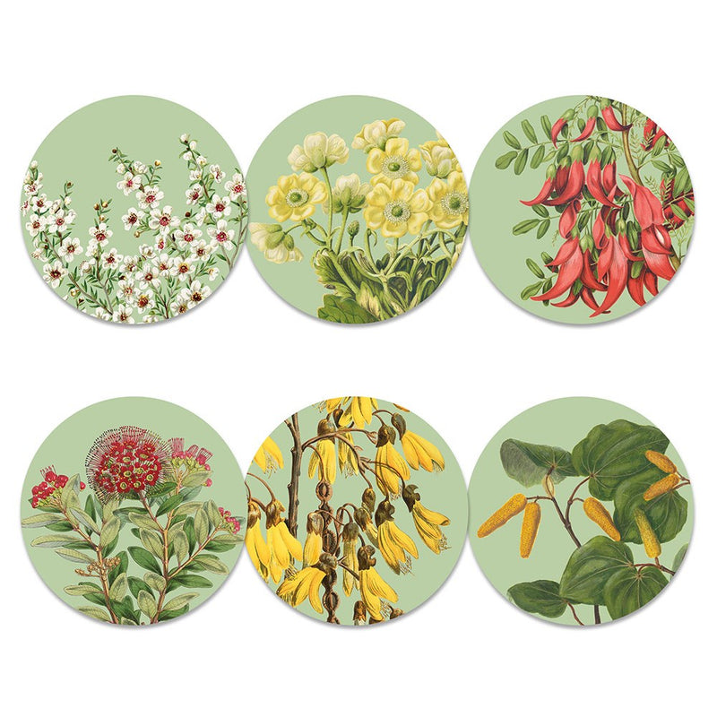 Set of six circular coasters with floral designs on a light green background