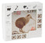 A white souvenir coaster box featuring a large illustration of a kiwi bird in the center, surrounded by small kiwi-themed postage stamp designs and country silhouettes on a clean white background.