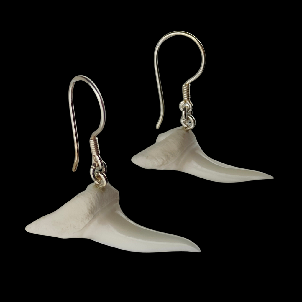 Mako Shark Teeth Sideways Earrings 36mm #106