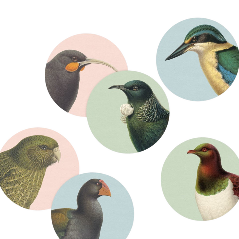 Set of six circular illustrations of various birds on a white background