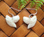Real NZ Tiger Shark Teeth Earrings - #361