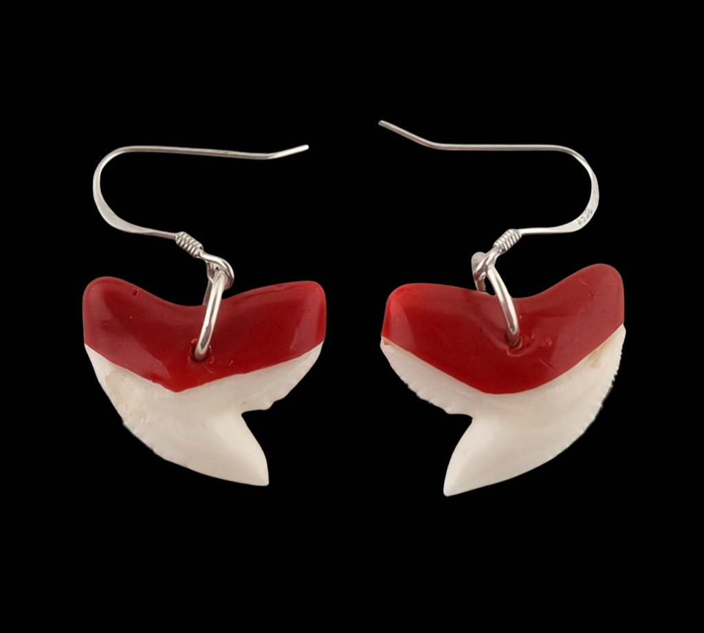 Waxed Tiger Shark Teeth Earrings - #368