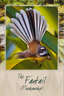 Fantail Bird Sound Card