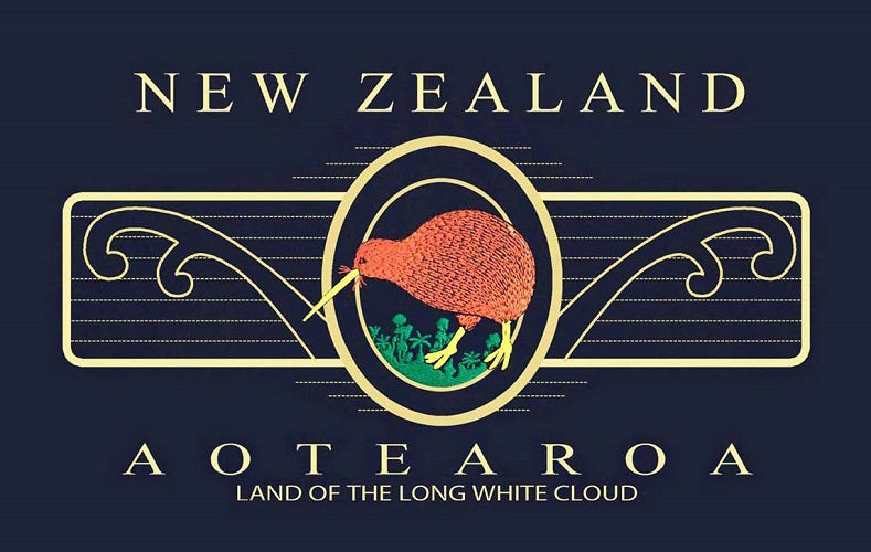 Men's Navy T-Shirt - Embroidered Kiwi Koru