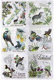 6 Pack NZ Map & Birds Foil Coaster Set