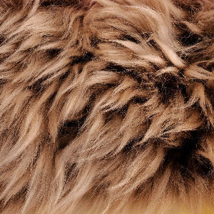 Single Large Sheepskin Rug - Cappuccino
