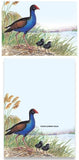 Magnetic Note Pad Pukeko - #M4