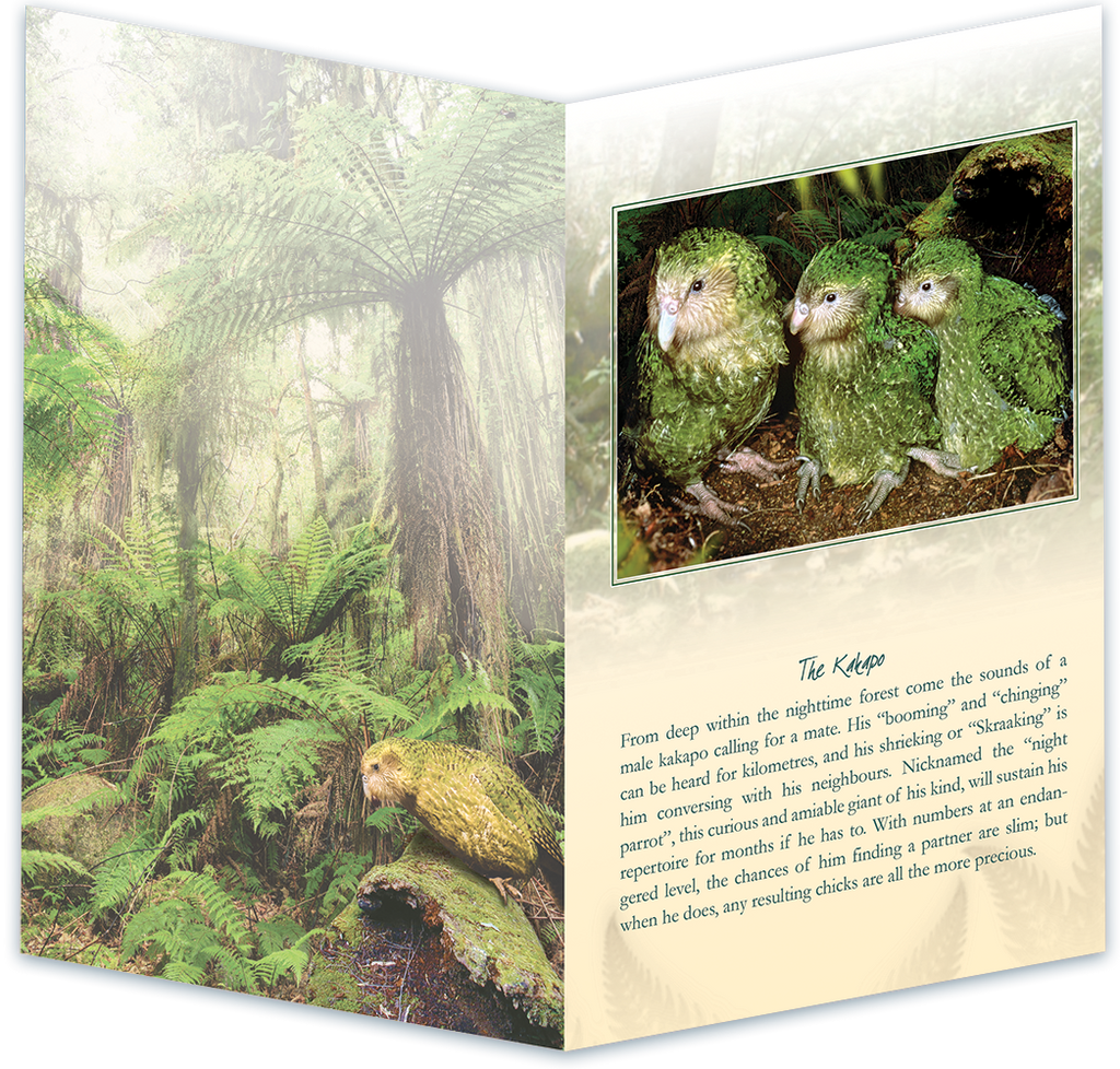 Kakapo Bird Sound Card