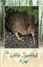 Little Spotted Kiwi Bird Sound Card