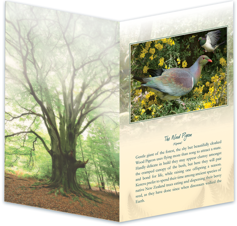 Wood Pigeon Bird Sound Card