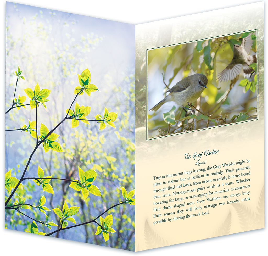 The Grey Warbler Bird Sound Card