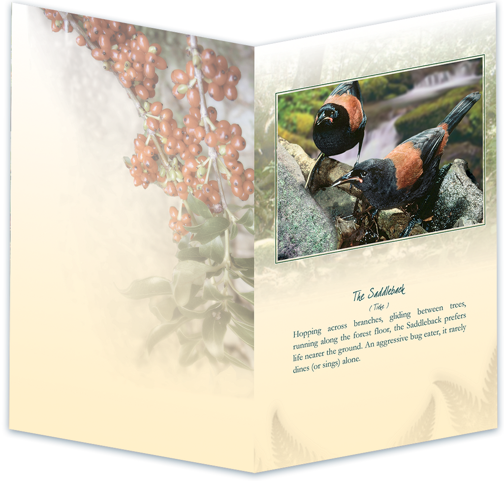 Saddleback Bird Sound Card