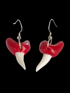Wax Capped Mako Teeth Earrings Facing Forward - Alex Sands