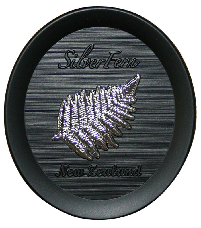 Magnet - Oval Silver Fern Main image