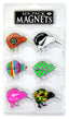 6 Pack Kiwi Design Magnets