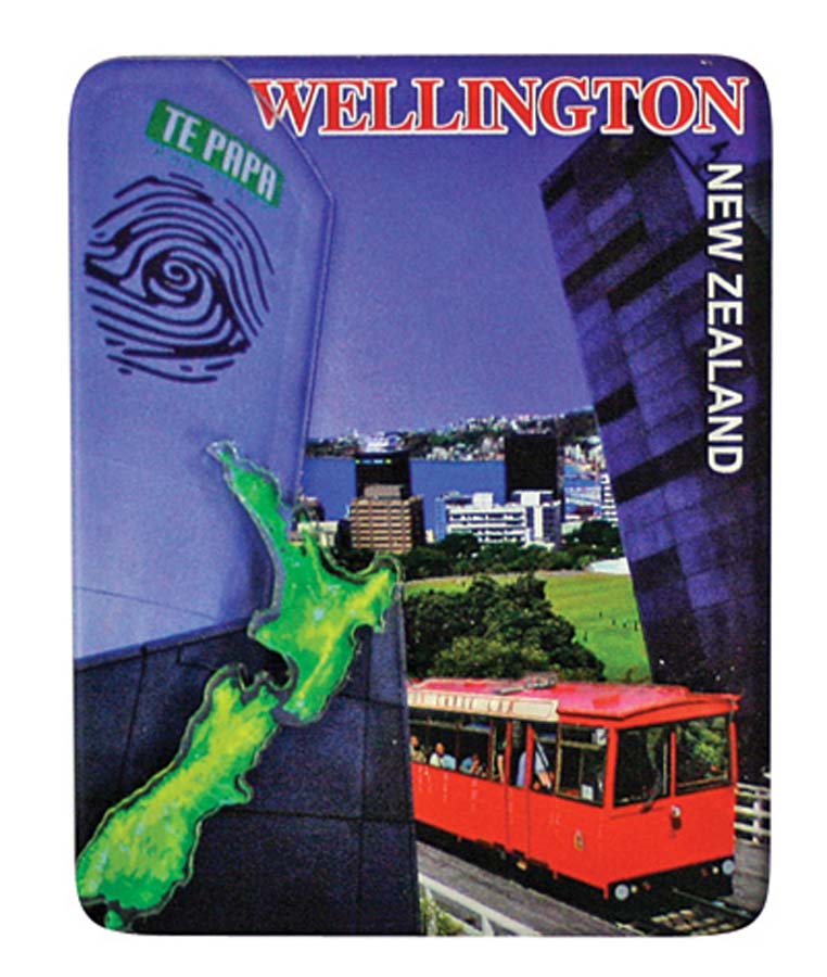 Wellington Magnet Main image