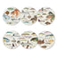Fishes of NZ Coasters Set of 6