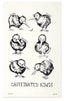 An off-white rectangular tea towel or poster featuring six black hand-drawn sketches of kiwi birds with handwritten labels and the text 'CAFFEINATED KIwis' at the bottom.