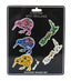 5 Pack Kiwi And Map Magnets