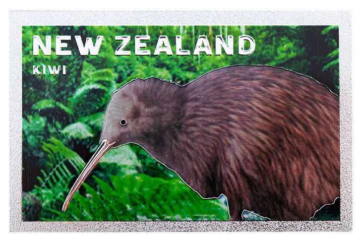 Foil Magnet - Kiwi Main image