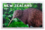 Foil Magnet - Kiwi
