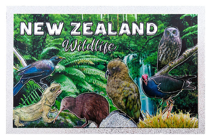 Foil Magnet - NZ Wildlife Main image