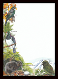 Note Pad Kiwi And birds - #N3