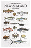 Fish Of NZ Tea Towel
