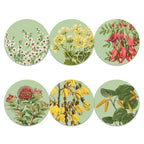 Set of six circular coasters with floral designs on a light green background