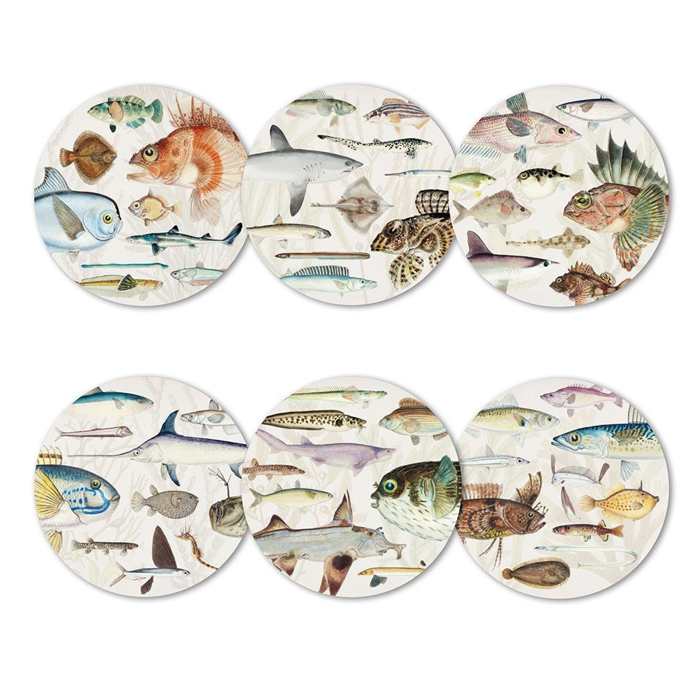 Fishes of NZ Placemats Set of 6 Main image