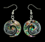 Paua Koru Design Earrings #16