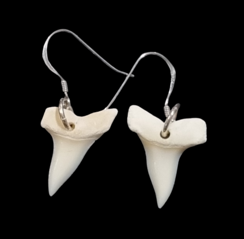 Shark tooth earrings on a black background Main image