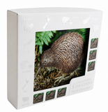 6 Pack Kiwi Foil Coaster Set