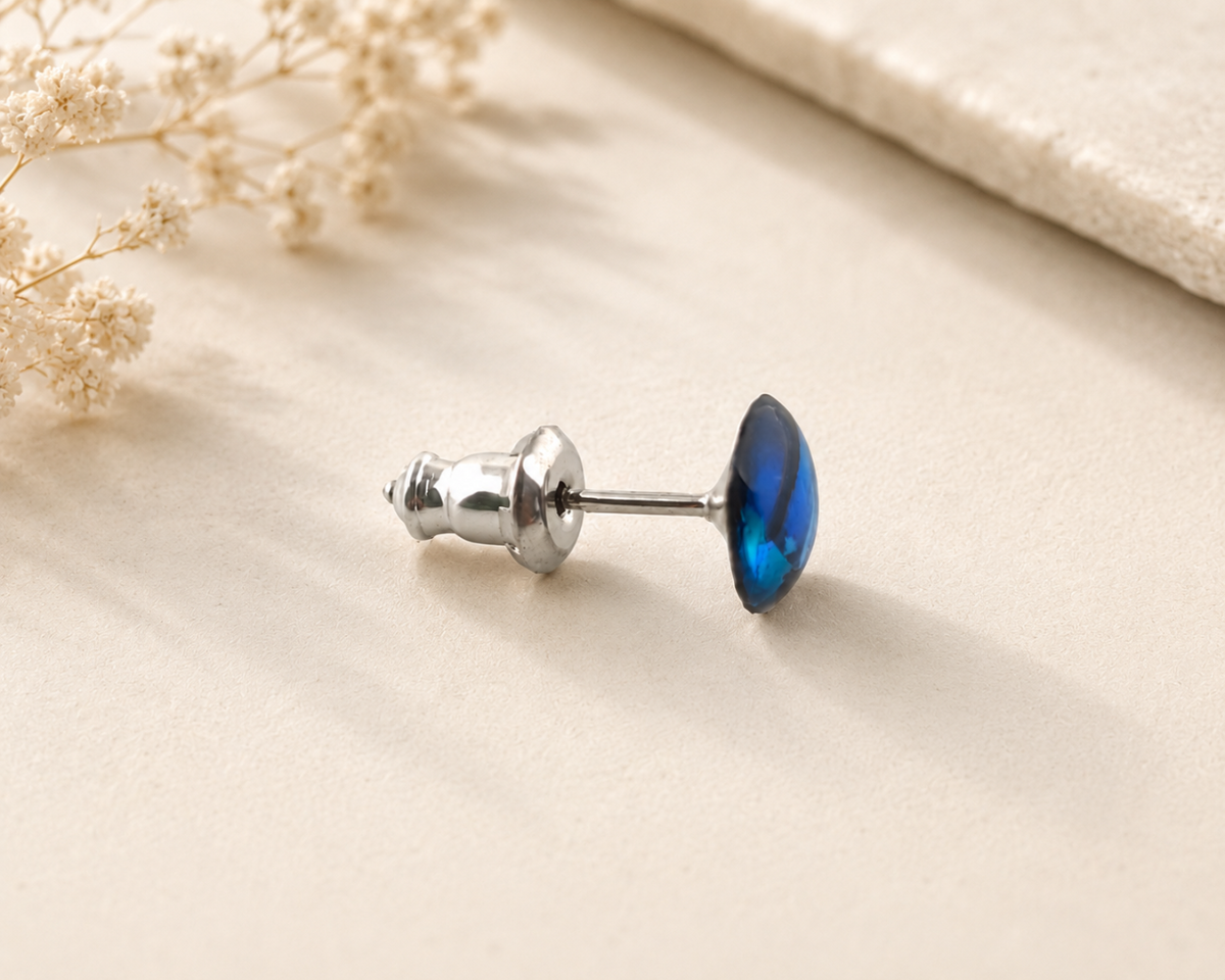 A single silver stud earring with paua shell, displayed on a textured beige surface with dried flowers in the corner.