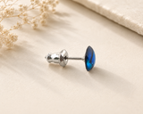 A single silver stud earring with paua shell, displayed on a textured beige surface with dried flowers in the corner.