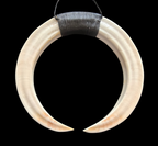 Super Large Genuine Pig Tusk Necklace