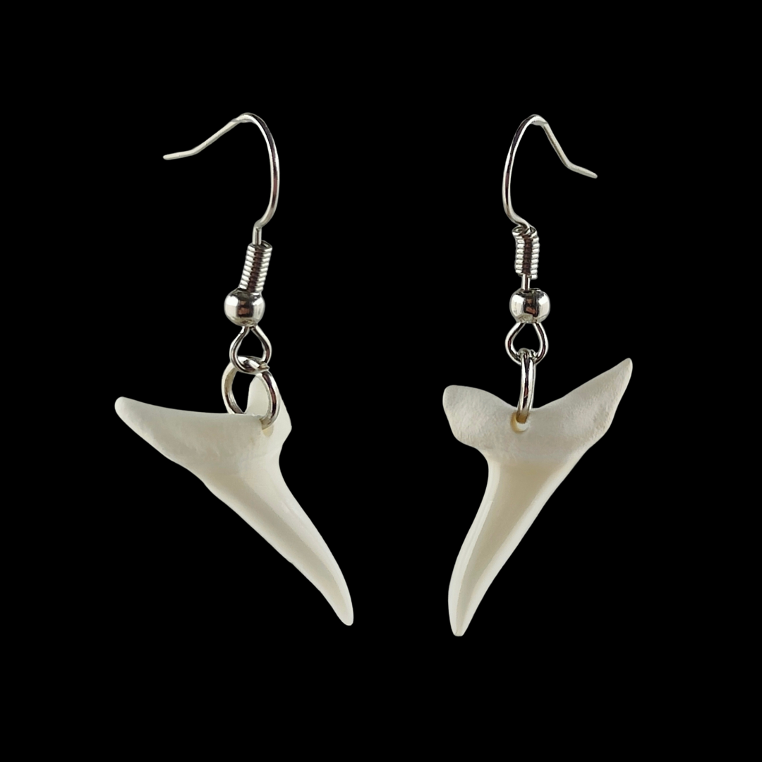 Mako Shark Teeth Earrings - 26mm #105 Main image