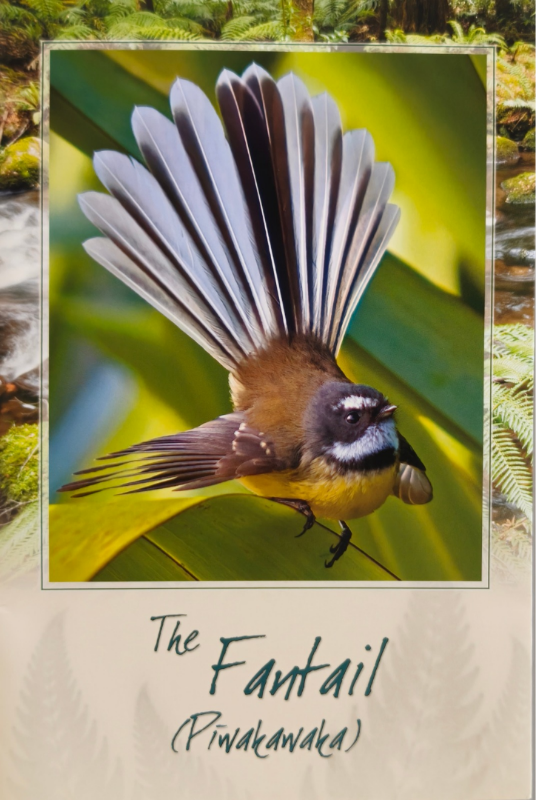 Fantail Bird Sound Card Main image
