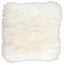 Sheepskin Cushion Cover - Ivory - Standard or Large Size