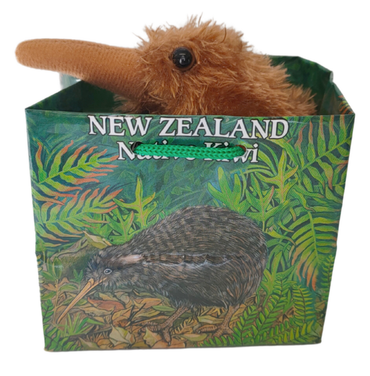 Kiwi With Sound - In Bag - 9.5cm Tall Main image