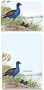 Magnetic Note Pad Pukeko - #M4
