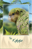 Kakapo Bird Sound Card